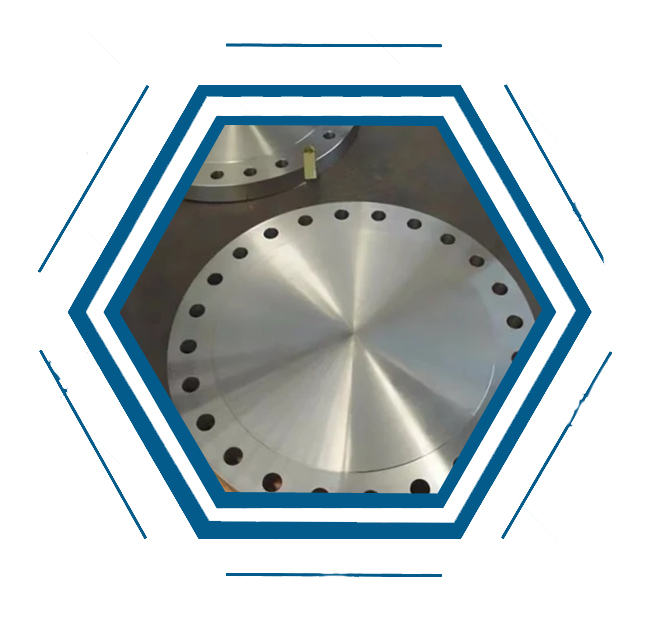 Hastelloy blind flange 