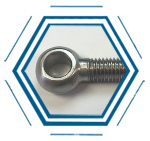 SUS 304 Swing Bolts